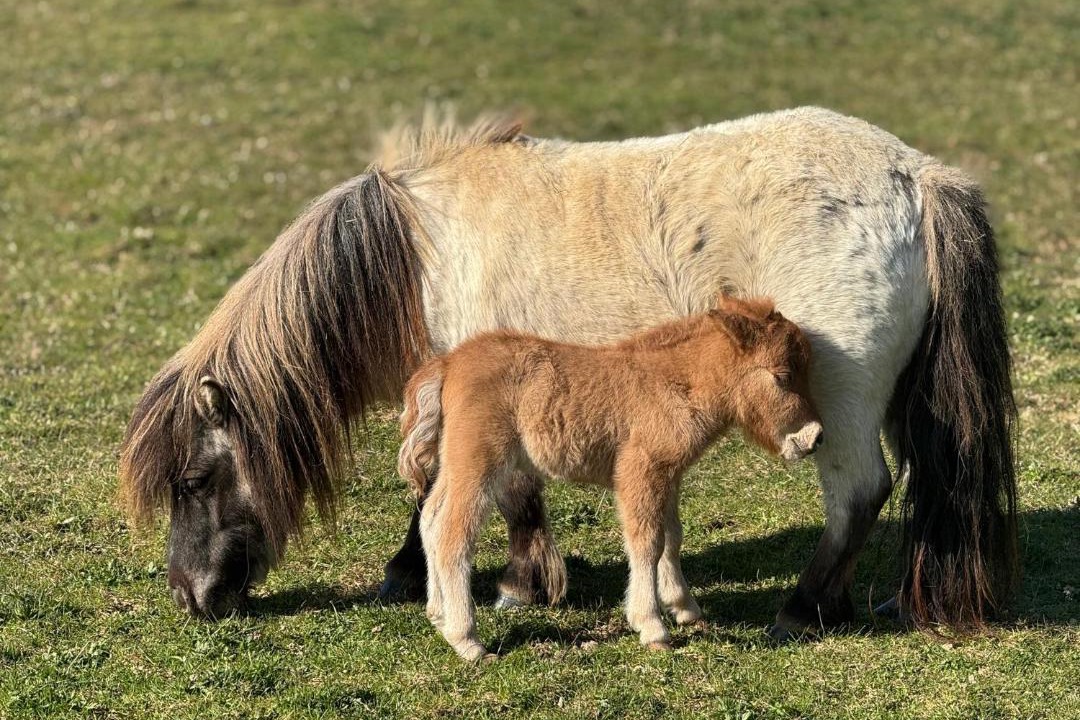 Photo of Others in Ewhurst