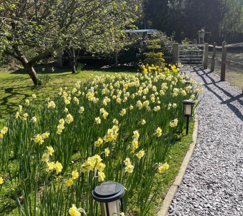 Photo of Outdoor in Ewhurst