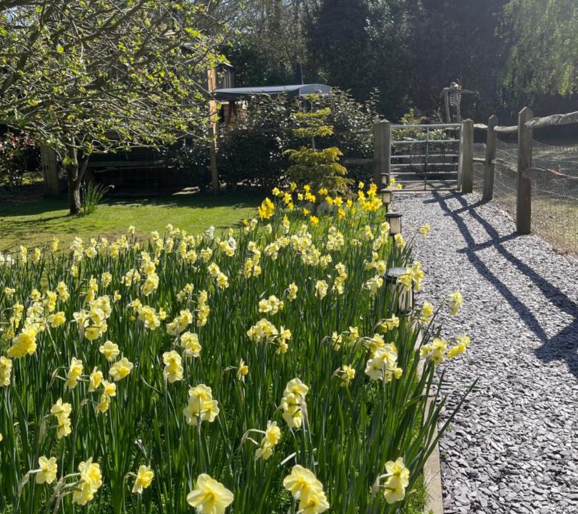 Photo of Outdoor in Ewhurst