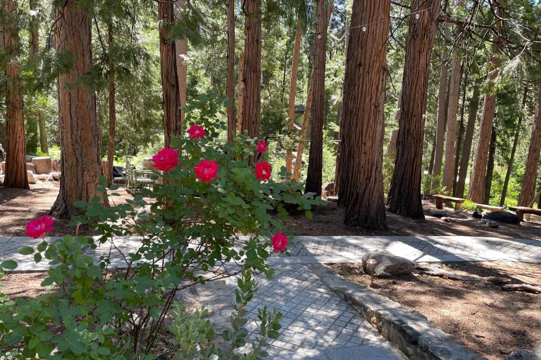 Photo of Others in Idyllwild