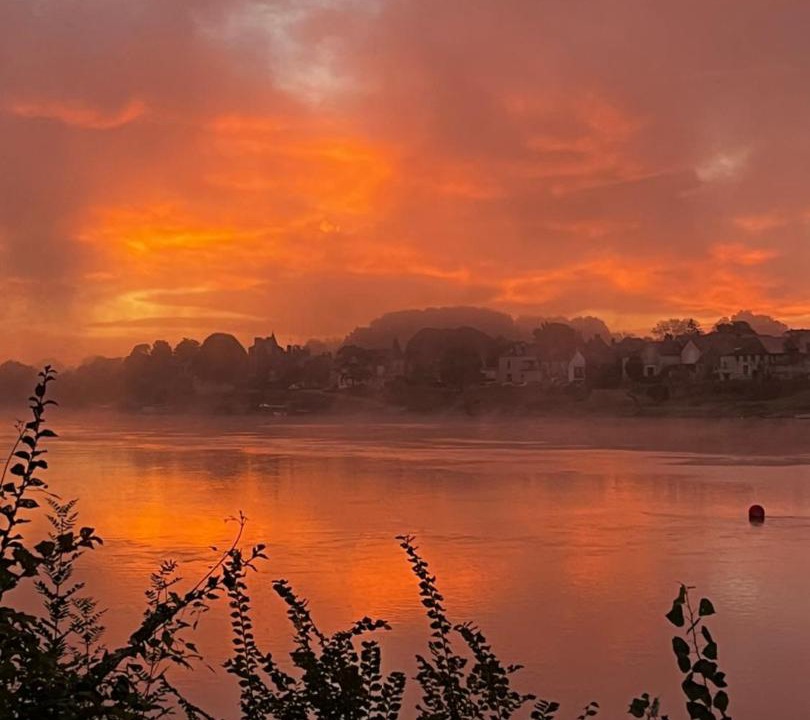 Photo of Others in Behuard