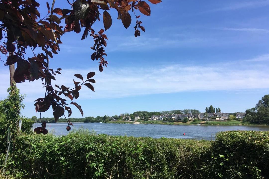 Photo of Others in Behuard