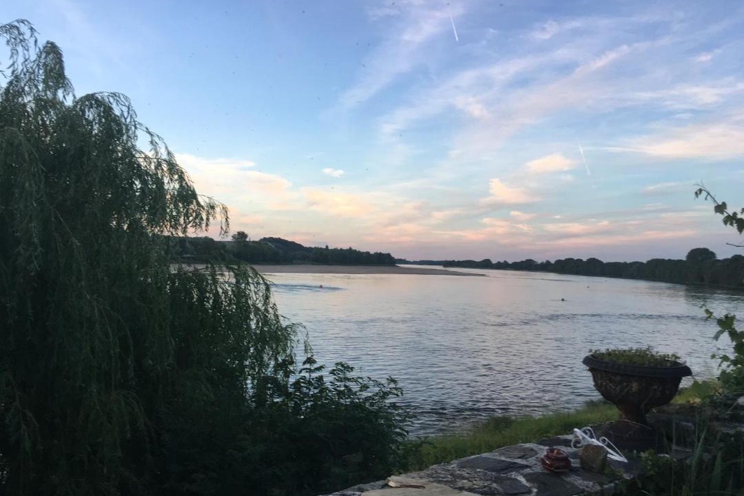 Photo of Others in Behuard