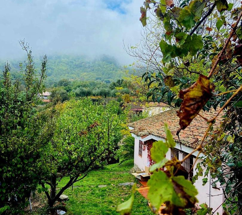 Photo of Others in El Real de San Vicente