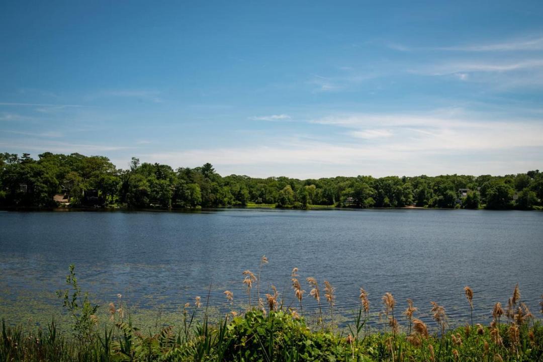 Photo of Others in Billerica