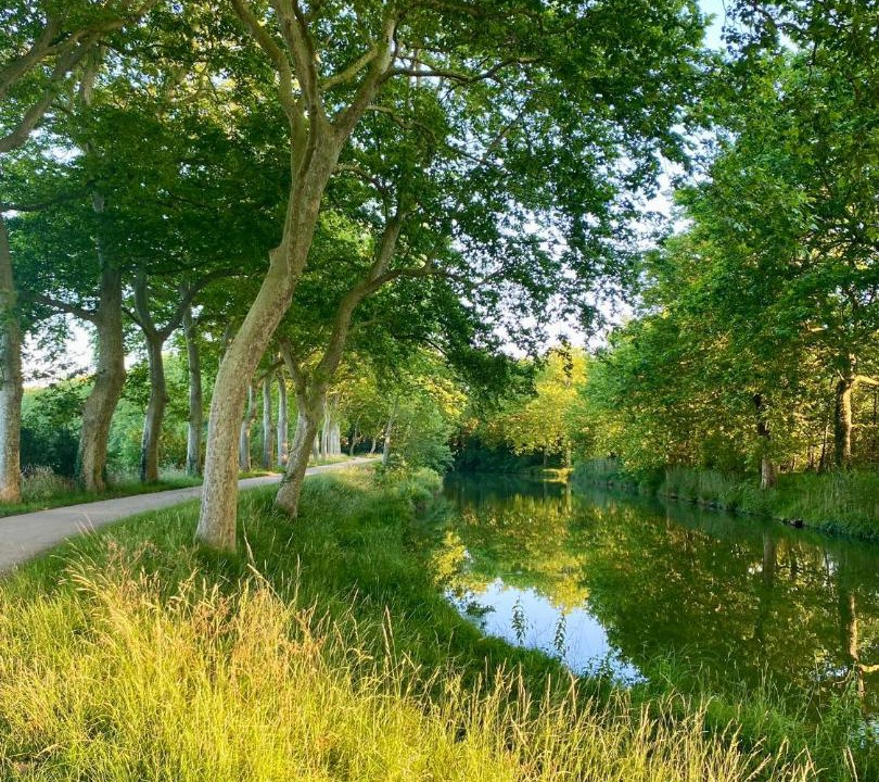 Photo of Others in Villefranche-de-Lauragais