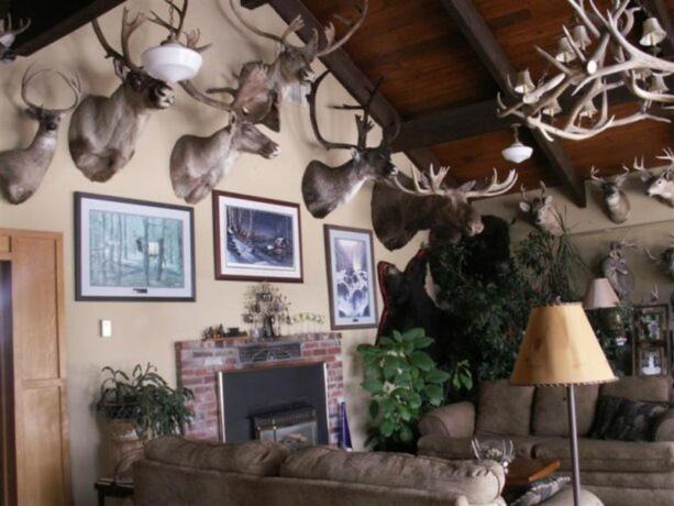 Photo of Livingroom in Fenn