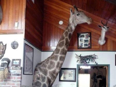 Photo of Others in Fenn