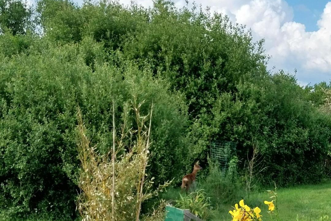 Photo of Others in Etel