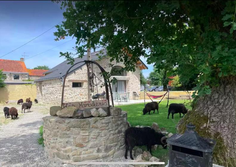 Photo of Others in Bellevue