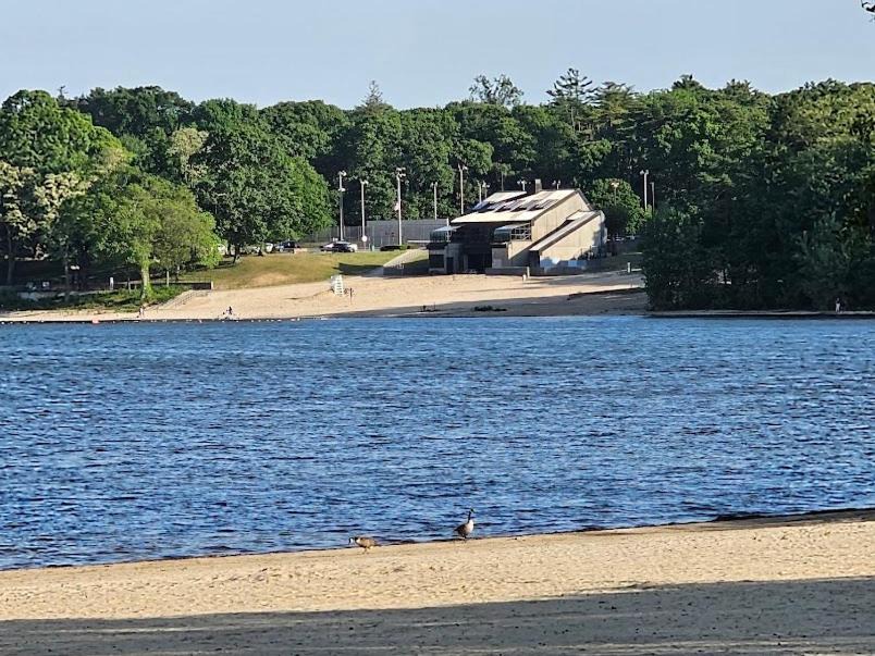 Photo of Others in Lake Ronkonkoma