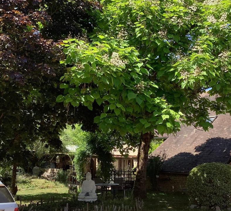 Photo of Others in Genneteil