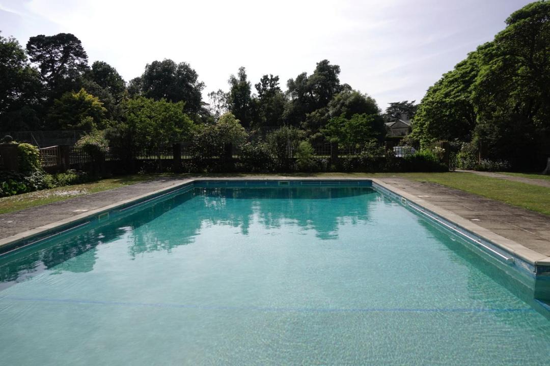 Photo of Others in New Forest District