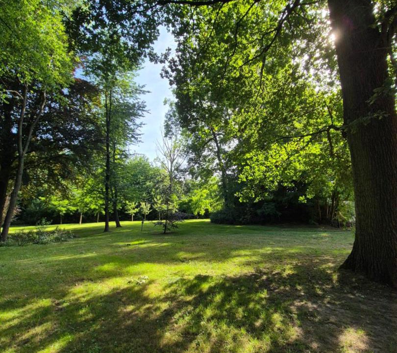 Photo of Others in Maubeuge