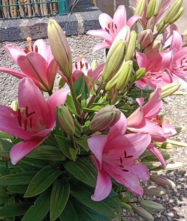 Photo of Outdoor in Saint-Bris-le-Vineux