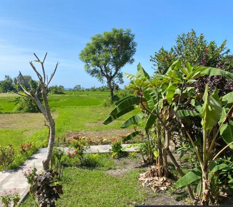 Photo of Others in Sengkidu