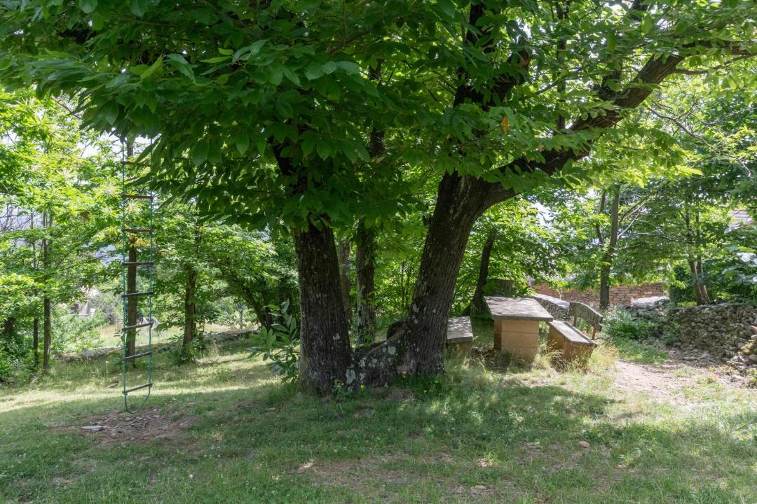 Photo of Others in Gravieres