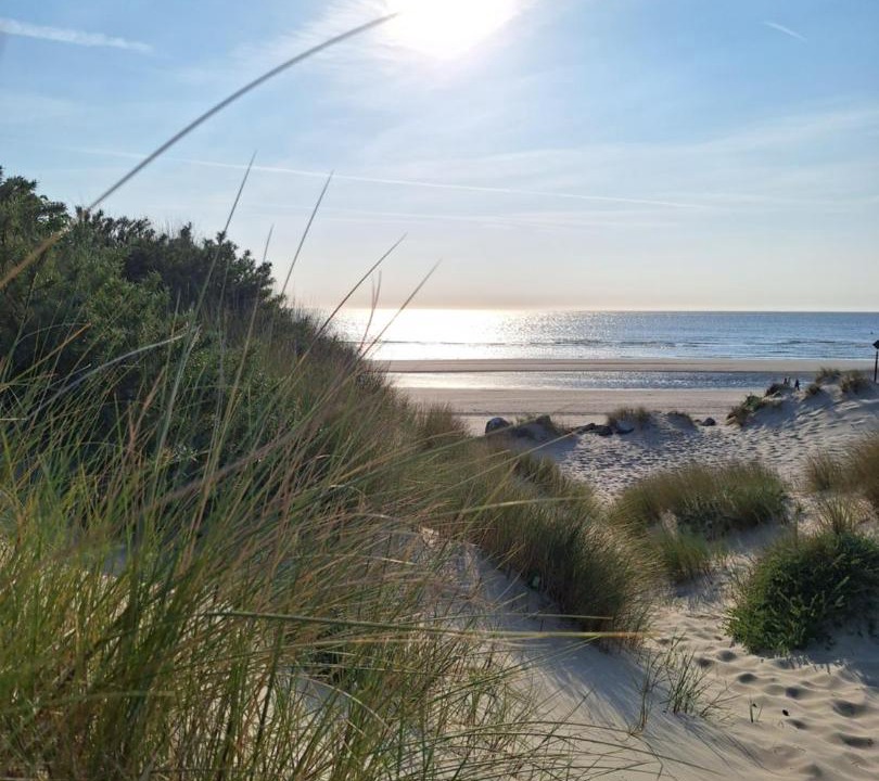 Photo of Others in Neufchatel-Hardelot