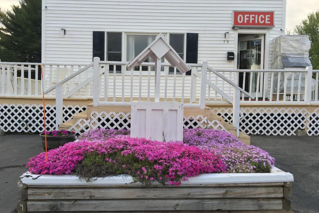 Photo of Others in Salisbury