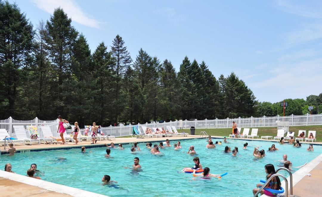 Photo of Others in New Holland