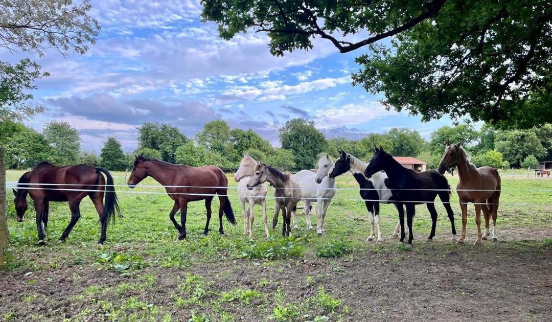 Photo of Others in Mignaloux-Beauvoir