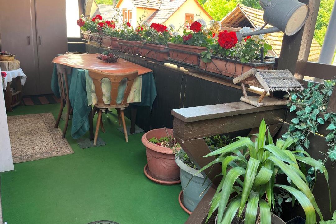 Photo of Others in Wingen