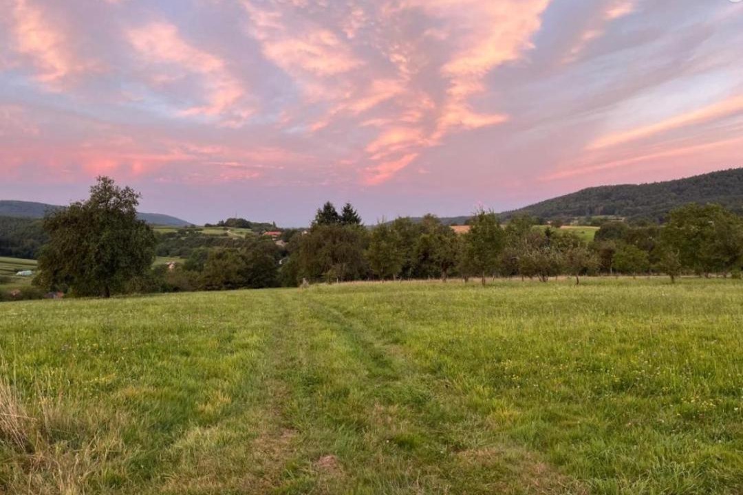 Photo of Others in Wingen