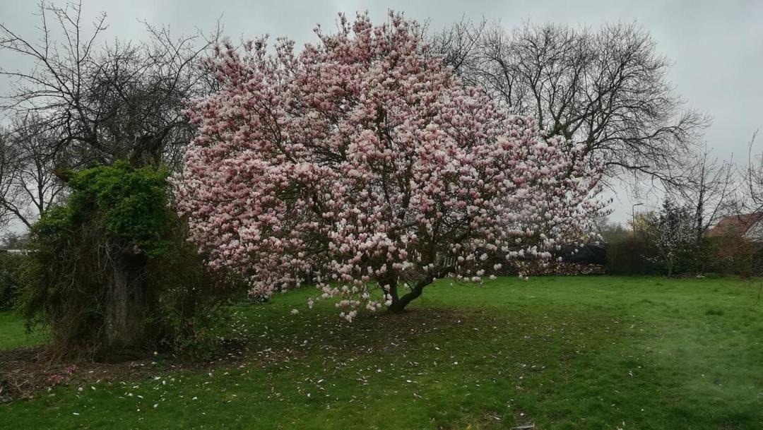 Photo of Outdoor in Valines