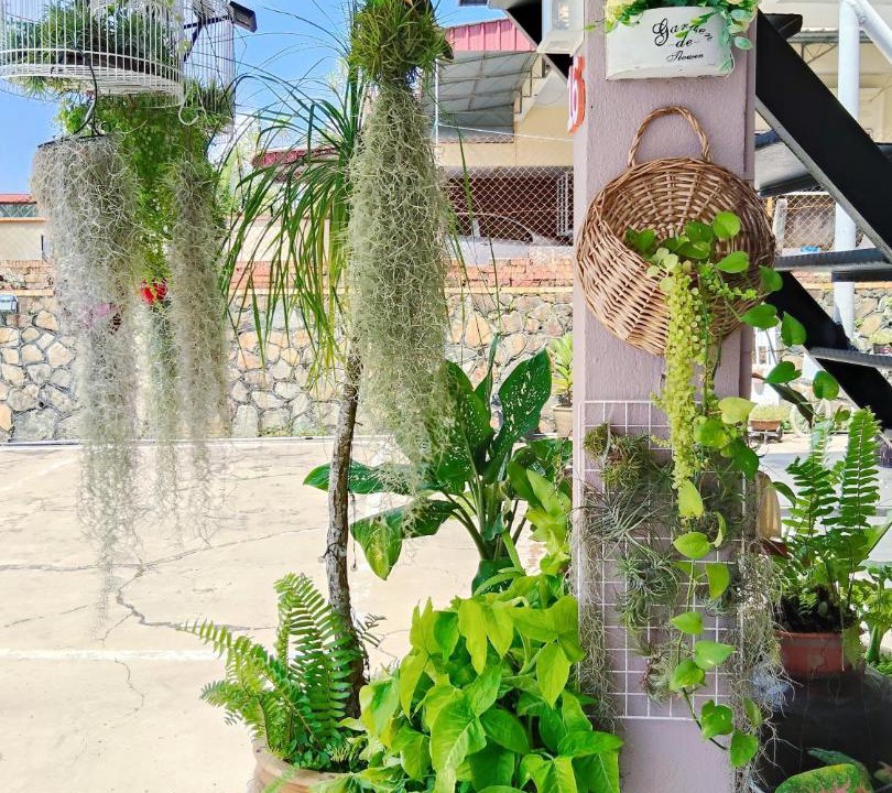 Photo of Others in Kluang