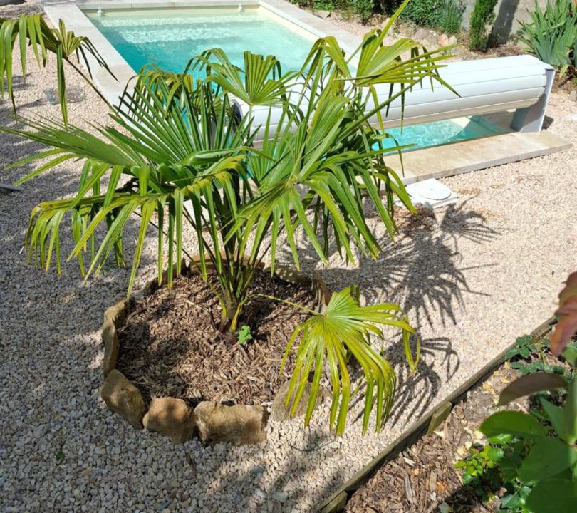 Photo of Others in Betaille