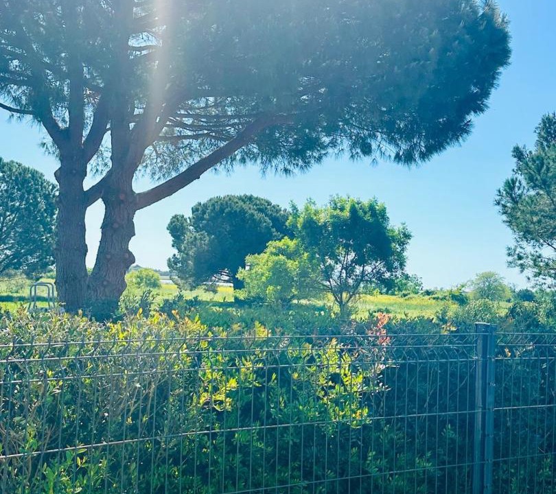 Photo of Others in Villeneuve-les-Maguelone