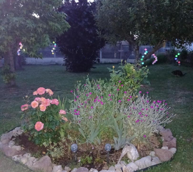 Photo of Outdoor in Moult