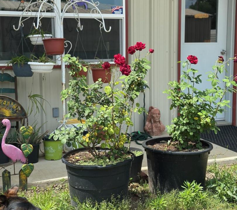 Photo of Others in Van Zandt County