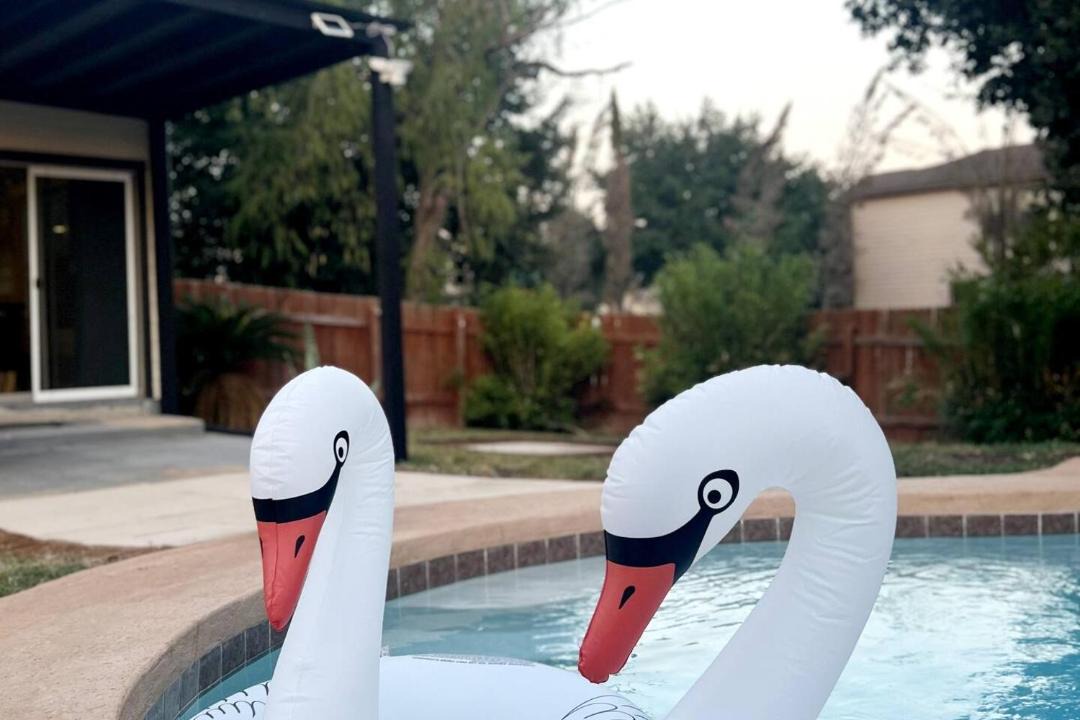 Photo of Others in McKinney