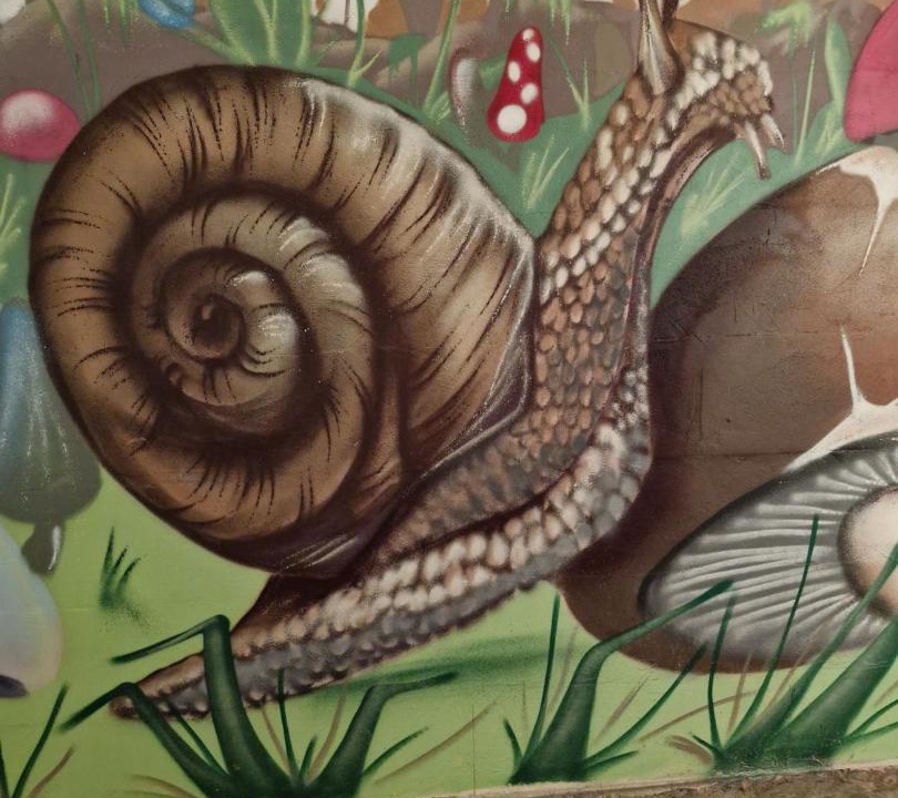 Photo of Others in Brigne