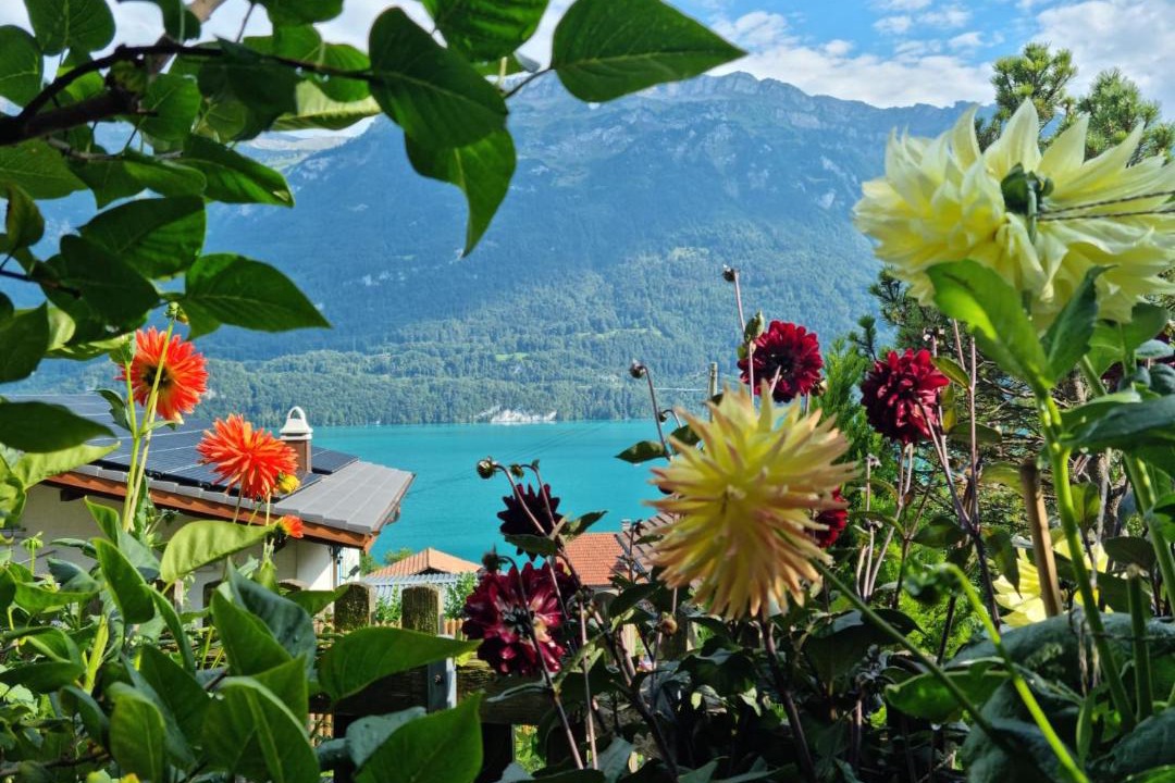 Photo of Others in Niederried bei Interlaken