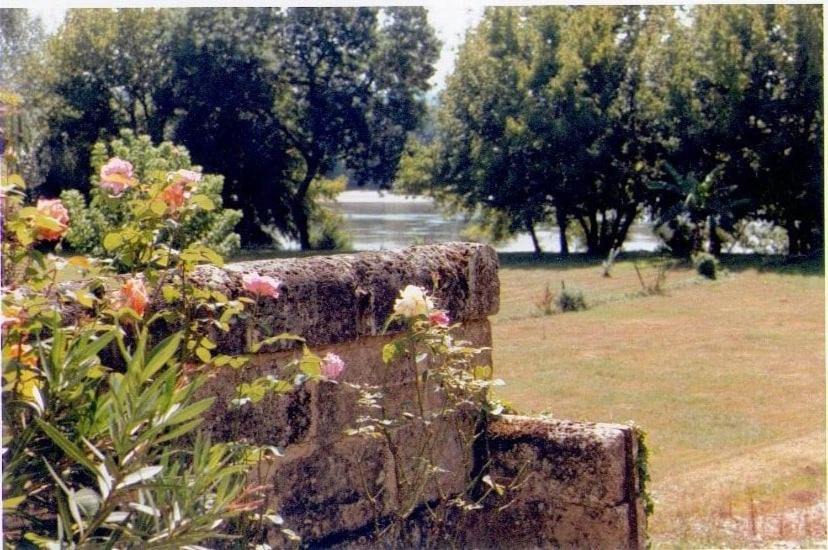 Photo of Others in Vignonet