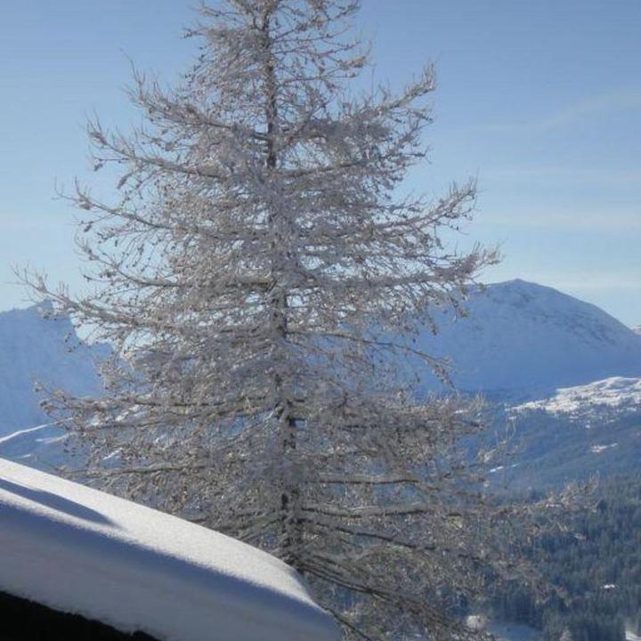 Photo of Others in Valbella
