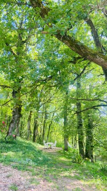 Photo of Others in Larroque