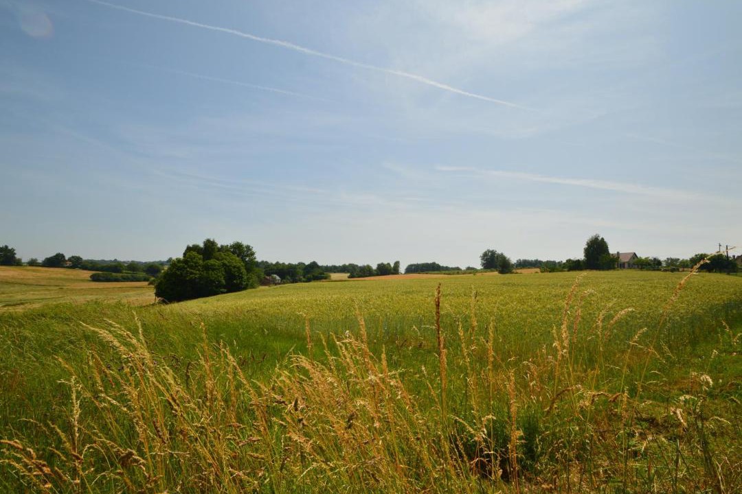 Photo of Others in Savignac-Ledrier