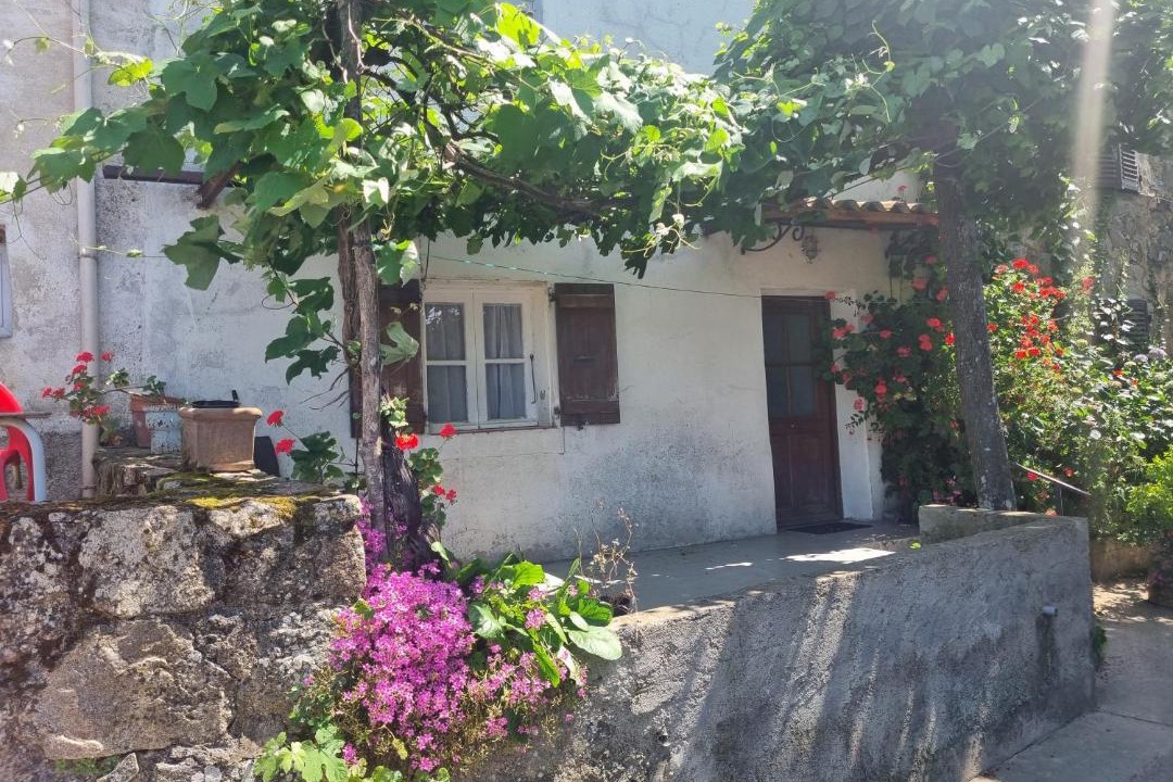 Photo of Others in Carbuccia