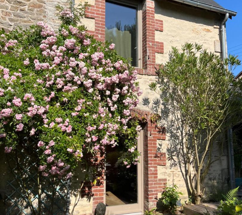 Photo of Others in Dinan