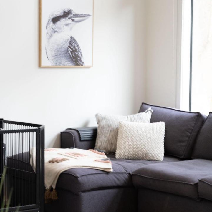 Photo of Livingroom in Eildon