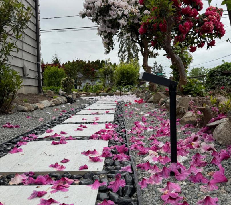 Photo of Others in Kent