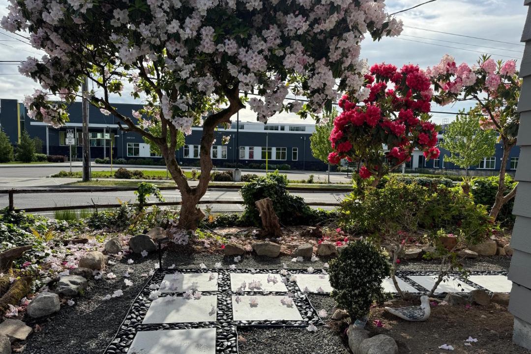 Photo of Others in Kent