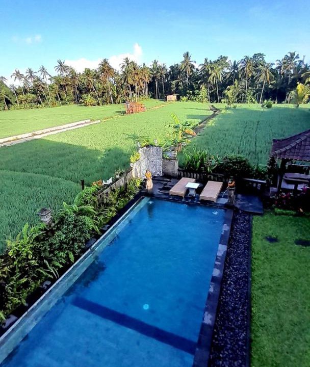 Photo of Others in Petulu