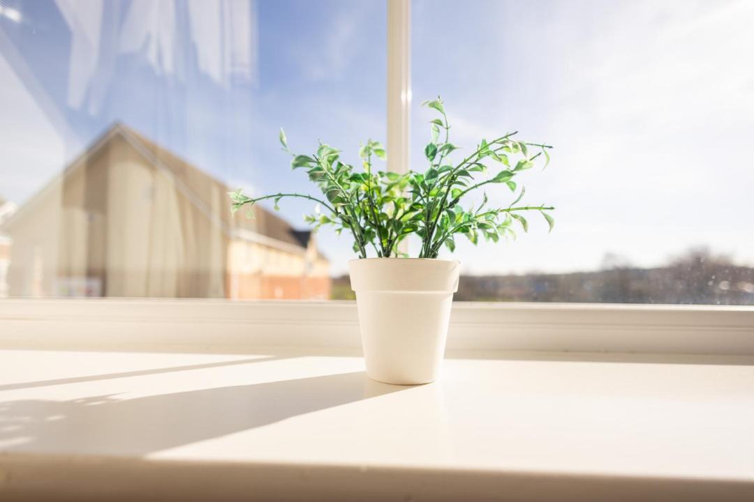 Photo of Others in Thorpe