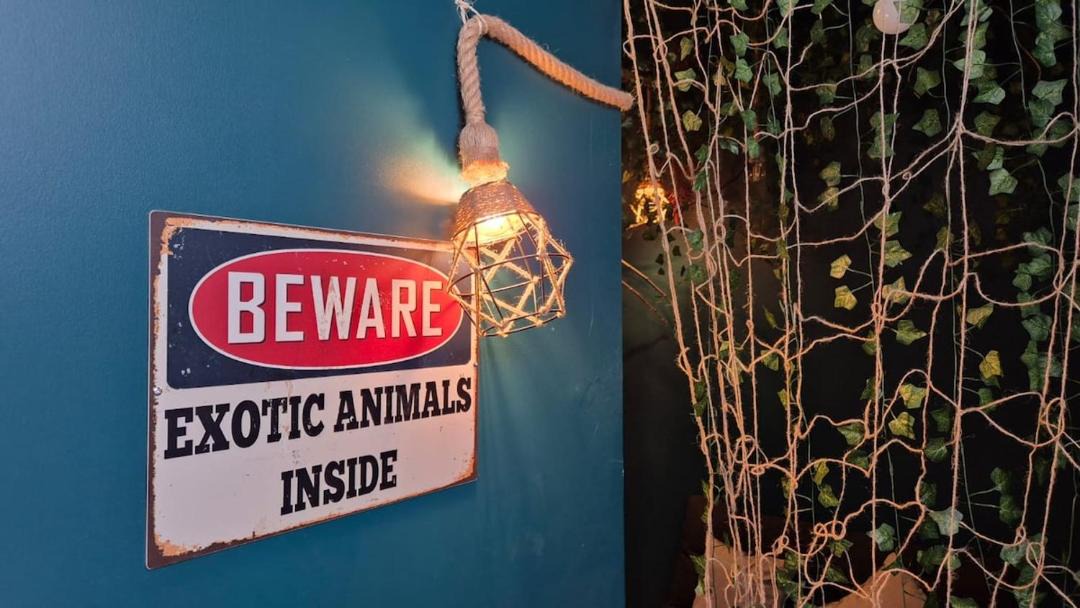 Photo of Others in Saint-Quentin