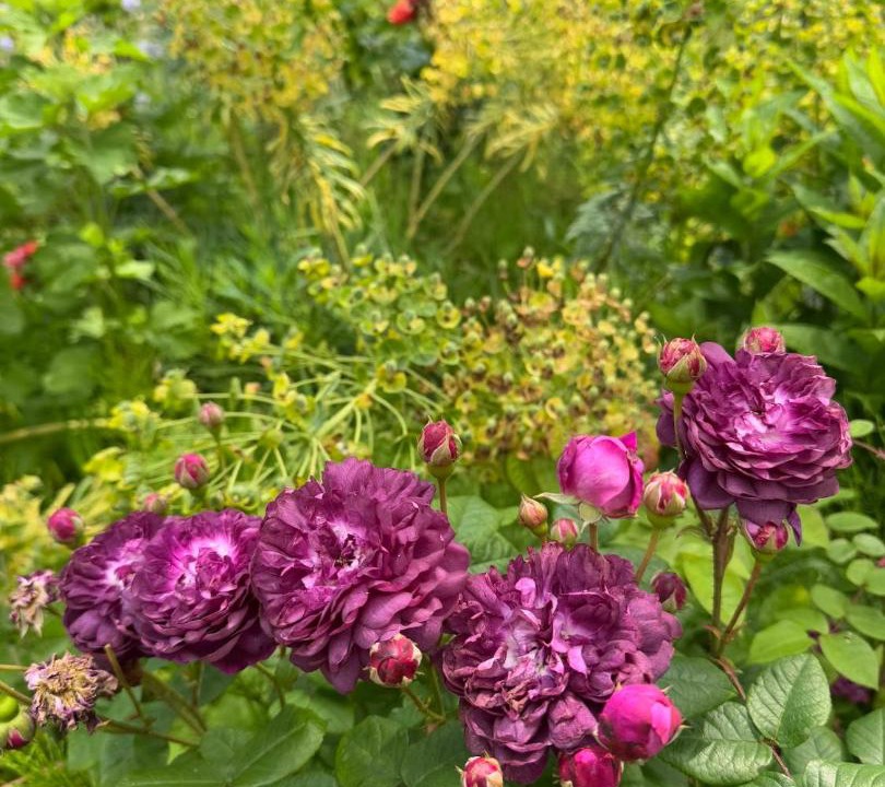 Photo of Outdoor in Saint-Etienne-au-Mont