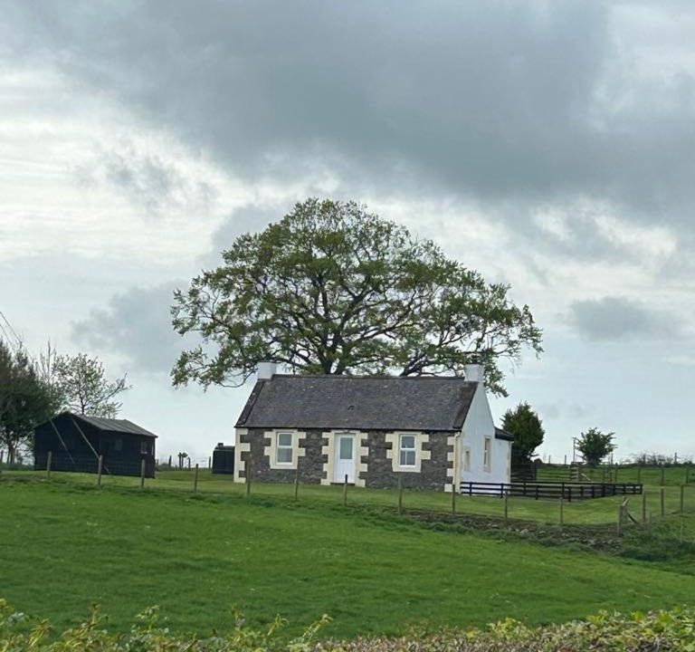 Photo of Others in Newbridge